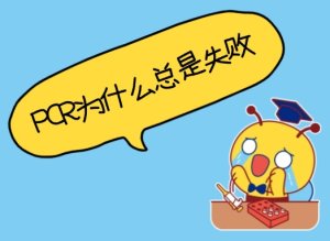 PCR为什么总是失败？——5个常见原因与解决办法