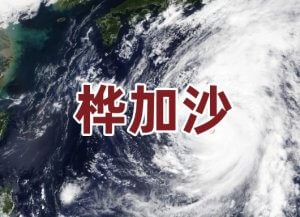 超强台风“桦加沙”来袭：公共卫生挑战与分子检测在灾害应对中的关键角色